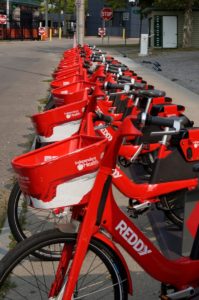 Reddy Bikes are available at stations around the park 