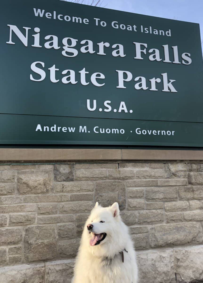can dogs go to niagara falls canada