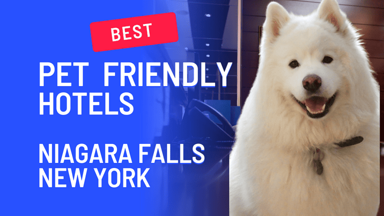 Best Pet Friendly Hotels In Niagara Falls NY (2023)