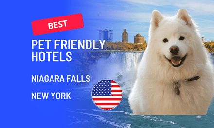 Best Pet Friendly Hotels In Niagara Falls NY (2023)