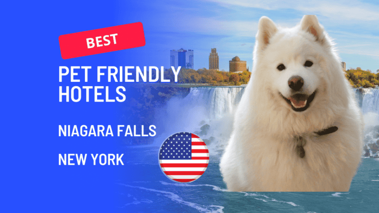 Best pet friendly hotels in Niagara Falls, NY.